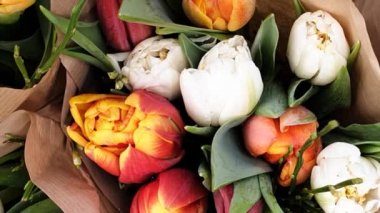 Renkli laleler bahar lalesi sürüsü