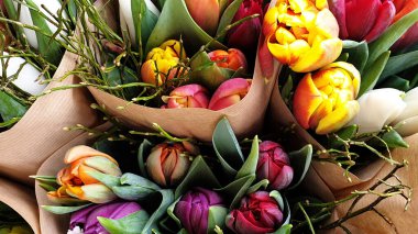 Laleler çiçek demetleri