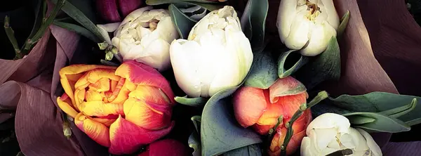 Tulipes Colorées Printemps Bouquet Tulipes — Photo