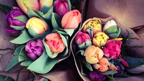 Tulipes Fleurs Couleurs Bouquet Fleurs — Photo