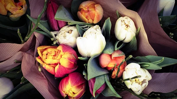 Tulipes Fleurs Couleurs Bouquet Fleurs — Photo