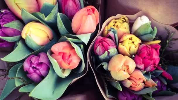 Manojo Tulipanes Florales Primavera — Vídeo de stock