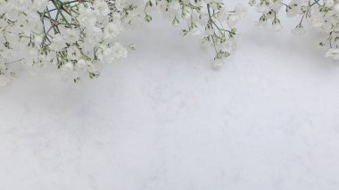 Mermer üzerinde beyaz çiçek arkaplanı
