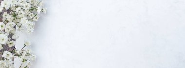 Mermer üzerinde beyaz çiçek arkaplanı