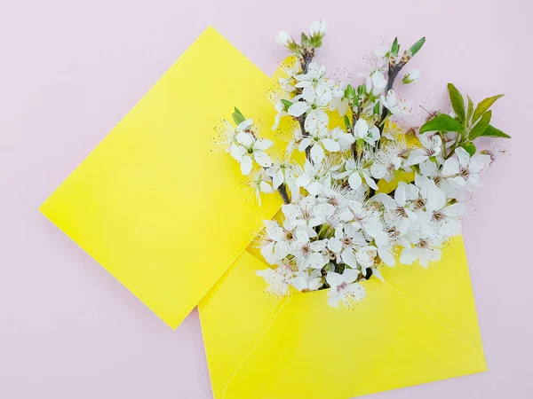 封筒に春の花桜 — ストック写真