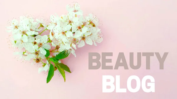 Moda güzelliği blog yazarı metni