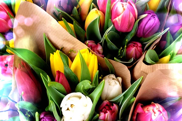 Tulipes Colorées Bouquets Fleurs Été — Photo
