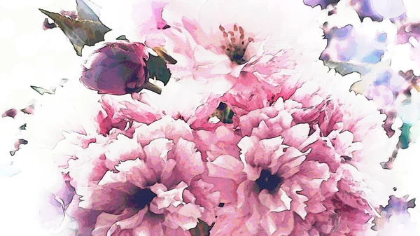 美丽的粉红色花朵迷人的花朵 — 图库照片