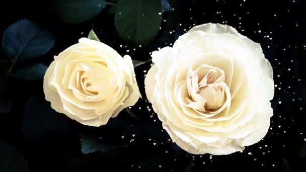 Λουλούδια Όμορφο Λουλούδι Κεφάλι Έκρηξη Καρδιές Κινούμενα Σχέδια — Αρχείο Βίντεο