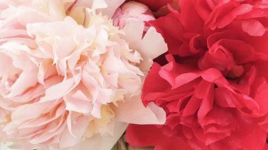 Gül çiçekleri güzel çiçek başları