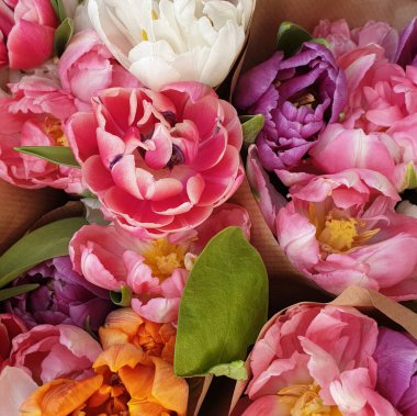 Çiçek buketi Güzel gül lale çiçekleri Renkli taç yaprakları düzenler