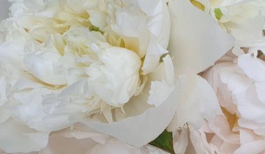 Beyaz çiçekler harika şakayık güller yakın şakayıklar