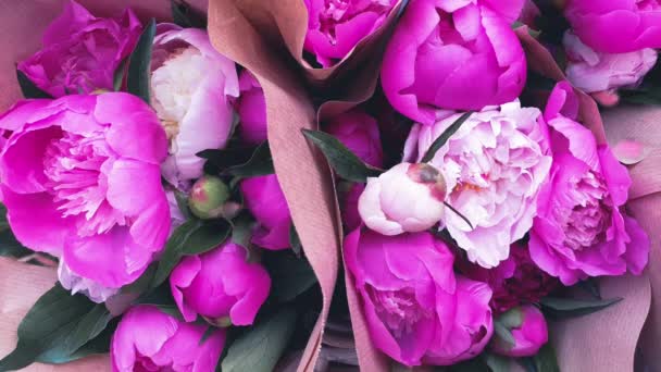 Des Grappes Fleurs Roses Pivoine Rose — Video