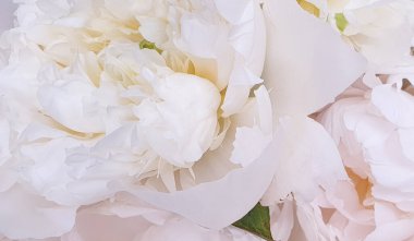 Beyaz çiçekler harika şakayık güller yakın şakayıklar