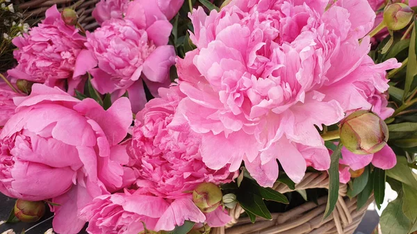 Красиві Рожеві Квіти Троянди Півонії Кошику Байкерів — стокове фото