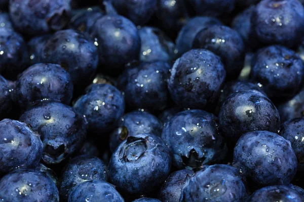 Fresh blueberry background. Texture blueberry berries close up view — Stock Photo, Image