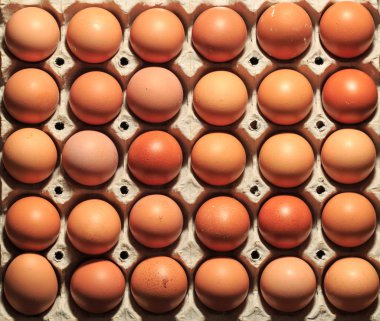 Kahverengi yumurta dolu karton tepsinin üst görüntüsü