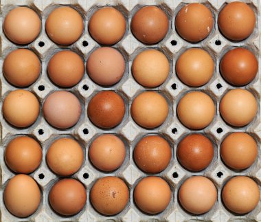 Kahverengi yumurta dolu karton tepsinin üst görüntüsü