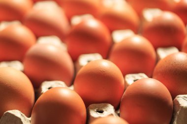 Kahverengi yumurta dolu karton tepsinin üst görüntüsü