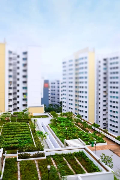 Roof garden in the residential area aerial day view — Stock Photo, Image