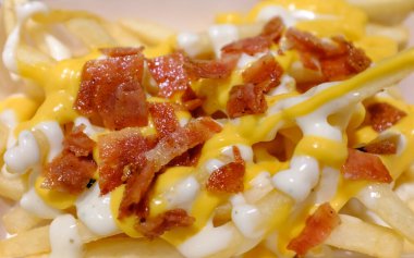 cheese fries with meat slice closeup macro view