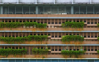 green plant and wood building facade view background
