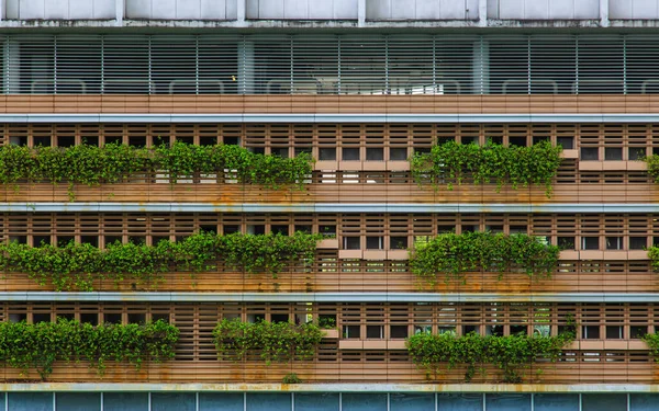 Planta verde e construção de madeira fachada vista de fundo — Fotografia de Stock