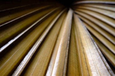 Doğada sarı kuru palmiye yapraklarının soyut görüntüsü