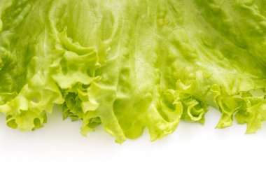 Beyaz arka planda güzel marul yaprağı