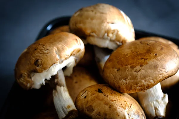 Set of brown mushrooms in a black box on a gray background