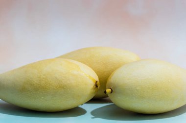 Açık mavi arkaplanda fotokopi alanı olan taze mango meyvesi