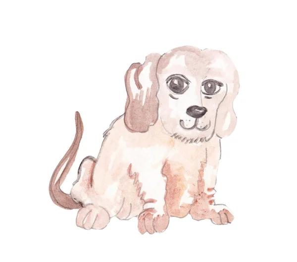 Aquarell schöner Hund — Stockfoto