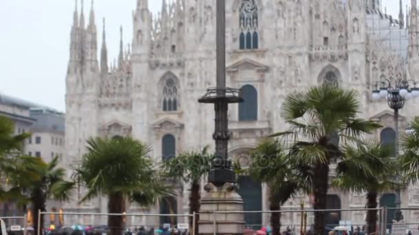 Milano duomo palmiye ağaçları ile — Stok video