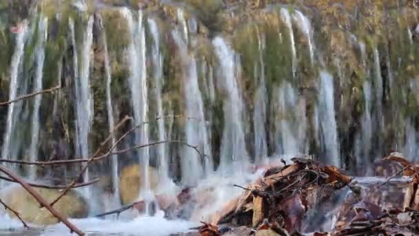 Επικάλυψη από ένα ρέμα το πάρκο της Μόντσα — Αρχείο Βίντεο