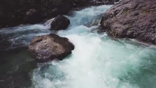 survoler un ruisseau dans une forêt - vue aérienne cinématographique 4k prise depuis un drone  