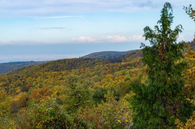 Fruska Dağı 'nın sonbaharda manzarası