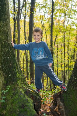 Çocuk dışarıda ağaca tırmanıyor. Küçük dağcı.