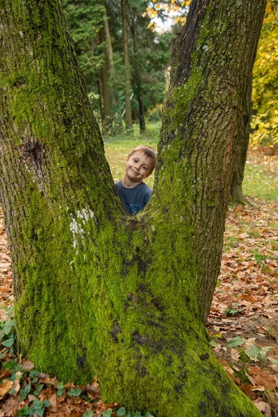 Chłopiec Pozujący Drzewem Lesie — Zdjęcie stockowe
