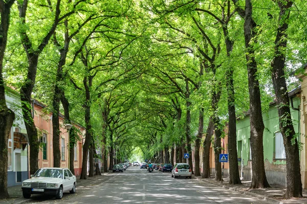 Kikinda, Sırbistan - 26 Temmuz 2019: Sırbistan 'ın Kikinda kentindeki General Drapsin Caddesi, dünyanın en güzel 50 caddesinden biri.