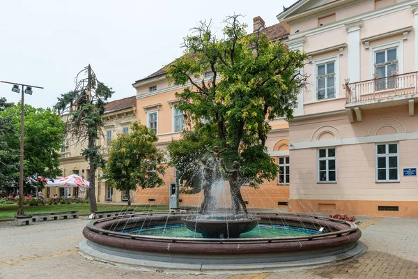 Кікінда Сербія Липня 2019 Будівля Національного Музею Прекрасний Фонтан Скульптурою — стокове фото