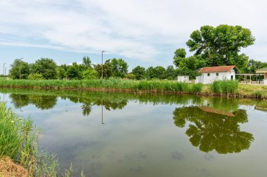 Sırbistan 'ın Kikinda kenti parkındaki Eski Göl (Staro Jezero: Sırp)