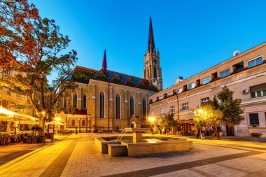 Novi Sad, Sırbistan 10 Ağustos 2019: Katolik Katedrali Novi Sad 'ın merkezindeki Mary Church ve Katolicka Porta Meydanı - arka bahçe. Novi Sad 'daki en güzel çeşme..