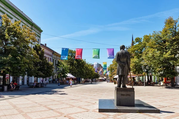 Novi Sad Sırbistan Ağustos 2019 Novi Sad Eski Kent Caddesinde — Stok fotoğraf
