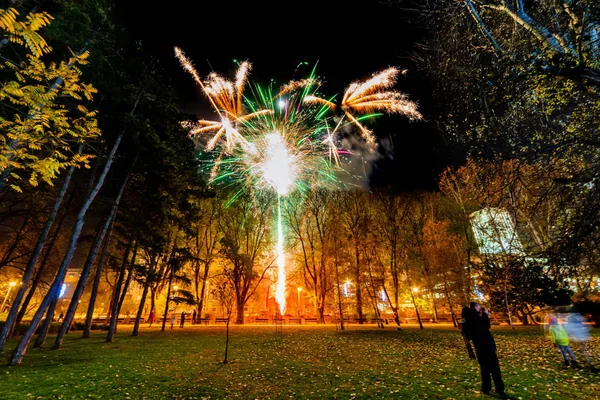 Novi Sad Serbia Dezember 2019 Feuerwerk Donaupark Novi Sad Serbia — Stockfoto