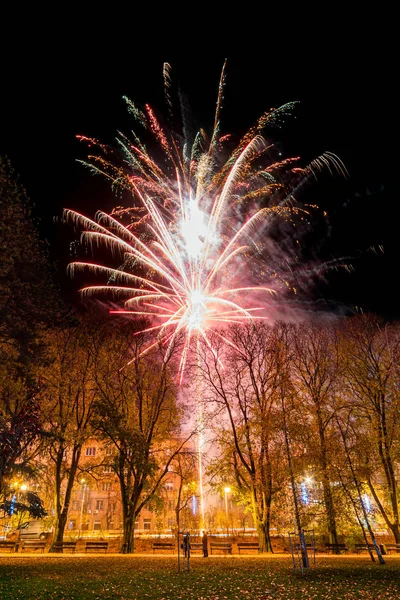 Novi Sad Serbia Dicembre 2019 Fuochi Artificio Nel Parco Del — Foto Stock