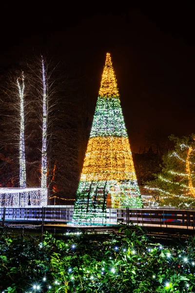 Novi Sad Serbia December 2019 Outdoor Sktrail Serbian Ledena Uma — 图库照片