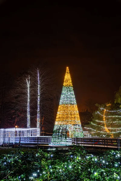 Novi Sad Serbia December 2019 Outdoor Sktrail Serbian Ledena Uma — 图库照片