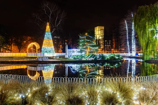 Novi Sad Serbia December 2019 Outdoor Sktrail Serbian Ledena Uma — 图库照片