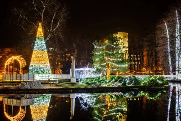 Novi Sad Serbia December 2019 Outdoor Sktrail Serbian Ledena Uma — 图库照片