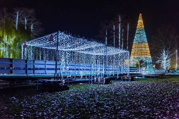 Novi Sad Serbia December 2019 Outdoor Sktrail Serbian Ledena Uma — 图库照片